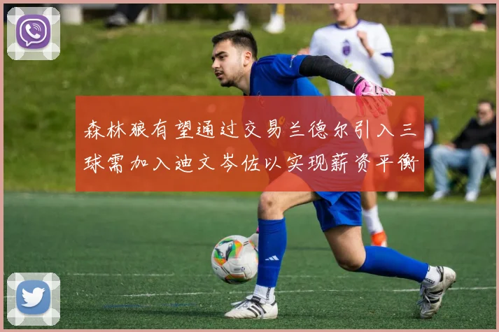 森林狼有望通过交易兰德尔引入三球需加入迪文岑佐以实现薪资平衡